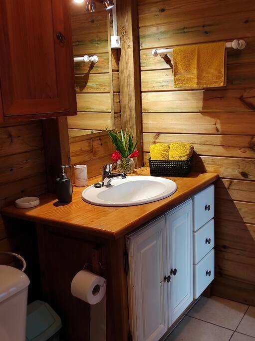 Le Tri Haut De Bellevue - Bungalow Heliconia Pointe-Noire Ngoại thất bức ảnh